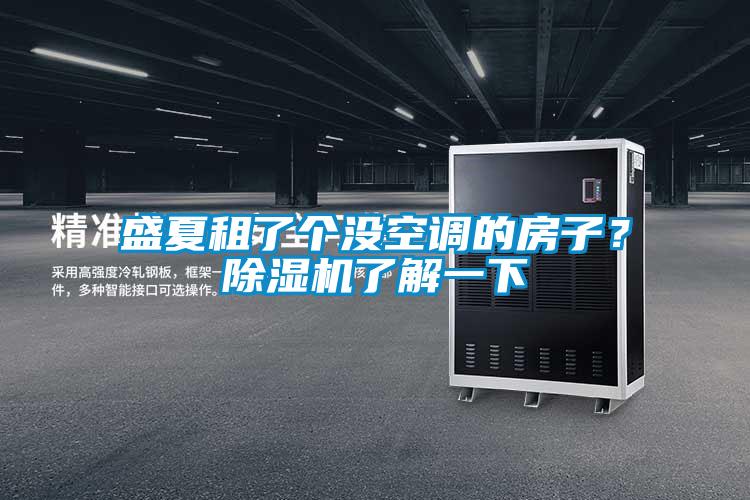 盛夏租了個沒空調的房子？除濕機了解一下