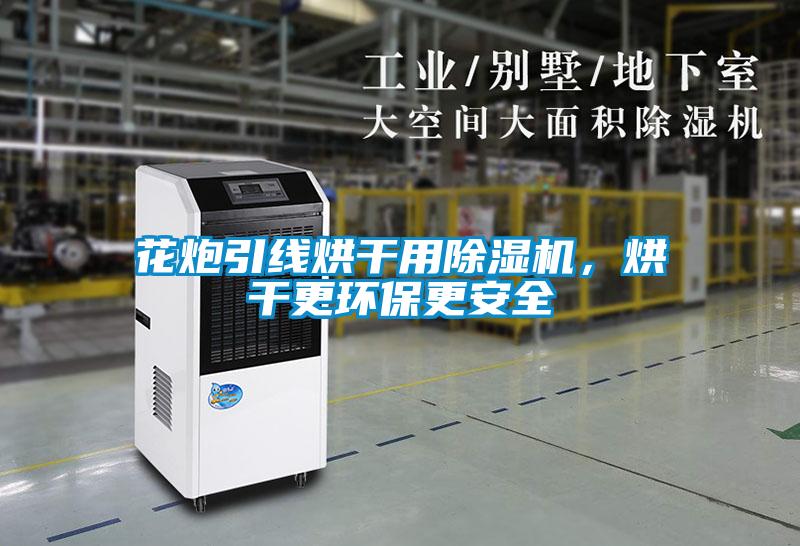 花炮引線烘干用除濕機，烘干更環保更安全