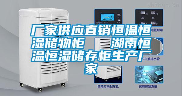 廠家供應直銷恒溫恒濕儲物柜   湖南恒溫恒濕儲存柜生產(chǎn)廠家