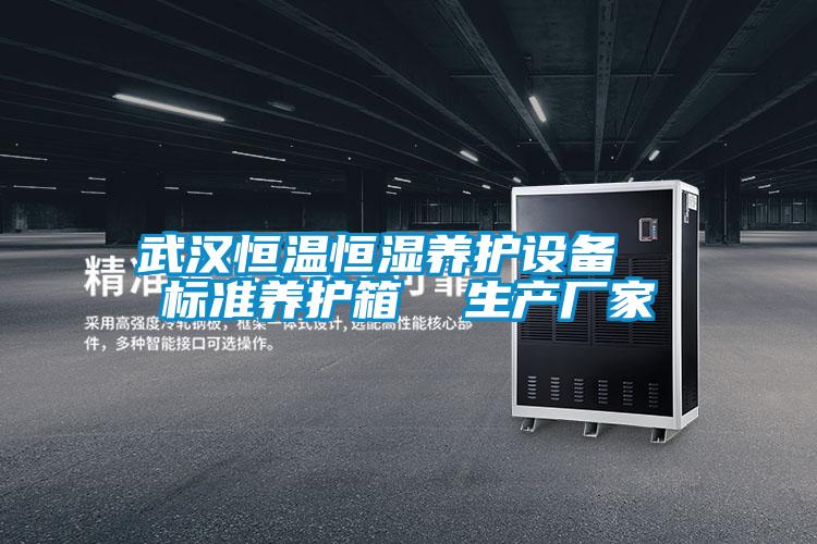 武漢恒溫恒濕養(yǎng)護設(shè)備 標(biāo)準(zhǔn)養(yǎng)護箱 生產(chǎn)廠家