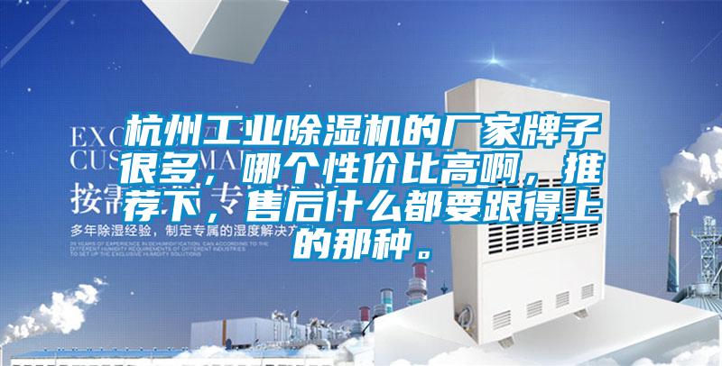 杭州工業除濕機的廠家牌子很多,哪個性價比高啊,推薦下,售后什么都要跟得上的那種。