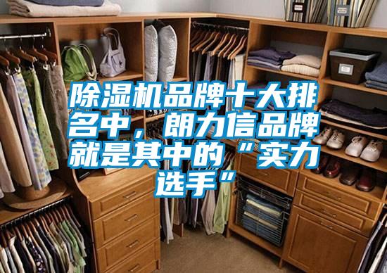 除濕機品牌十大排名中，朗力信品牌就是其中的“實力選手”