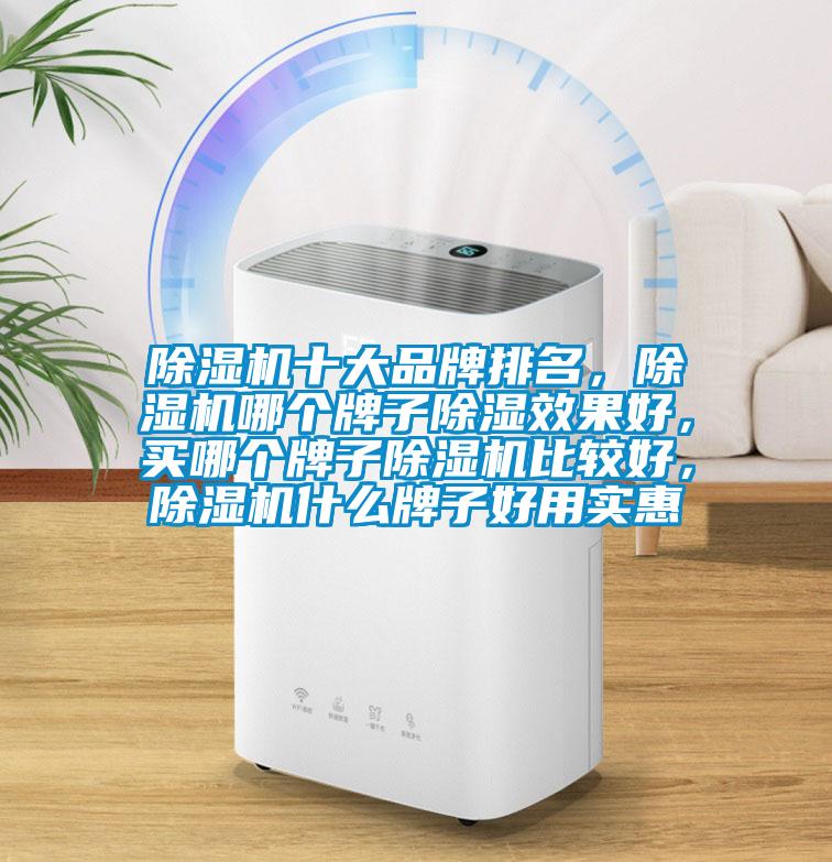 除濕機十大品牌排名，除濕機哪個牌子除濕效果好，買哪個牌子除濕機比較好，除濕機什么牌子好用實惠