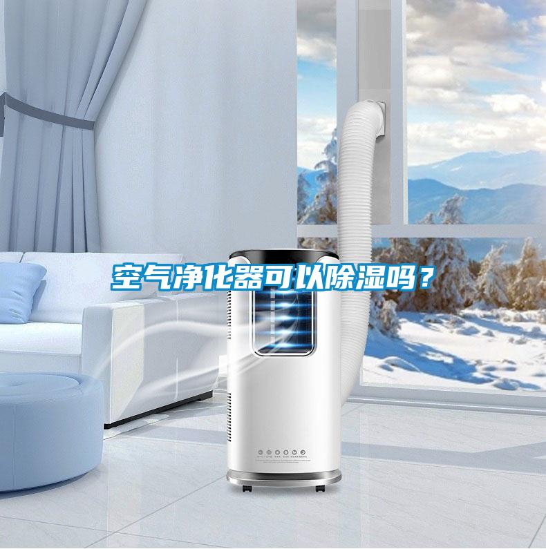 空氣凈化器可以除濕嗎?