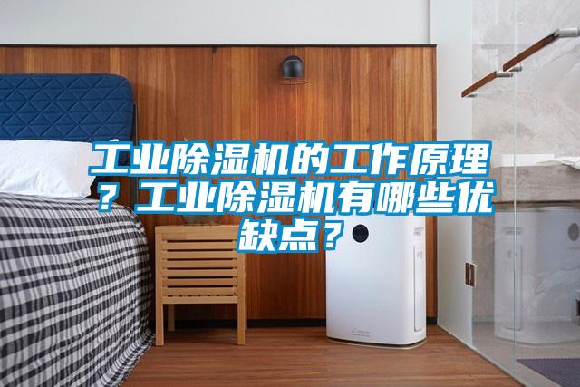 工業除濕機的工作原理？工業除濕機有哪些優缺點？