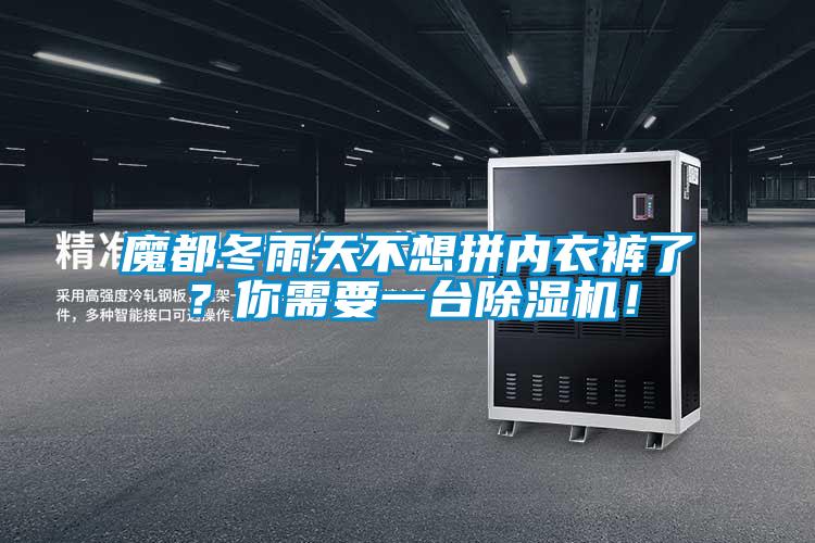 魔都冬雨天不想拼內(nèi)衣褲了？你需要一臺除濕機！