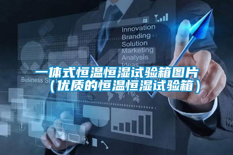 一體式恒溫恒濕試驗(yàn)箱圖片(優(yōu)質(zhì)的恒溫恒濕試驗(yàn)箱)