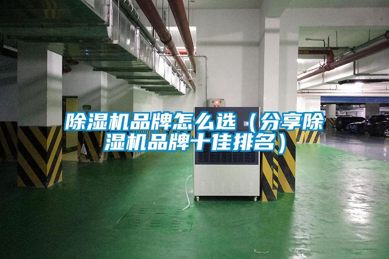 除濕機品牌怎么選(分享除濕機品牌十佳排名)