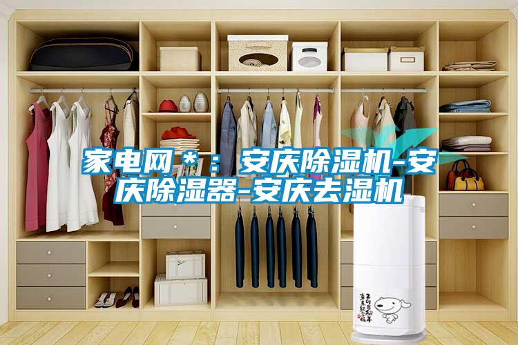 家電網*:安慶除濕機-安慶除濕器-安慶去濕機