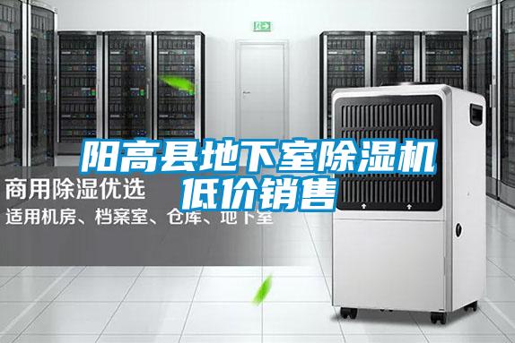 陽高縣地下室除濕機(jī)低價銷售