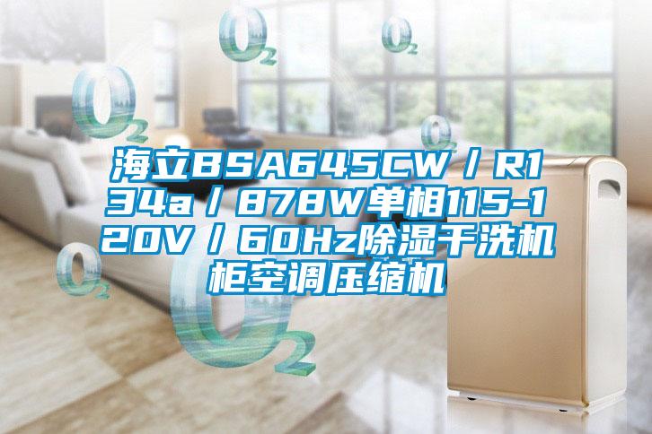 海立BSA645CW/R134a/878W單相115-120V/60Hz除濕干洗機柜空調(diào)壓縮機