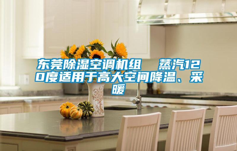 東莞除濕空調機組 蒸汽120度適用于高大空間降溫、采暖
