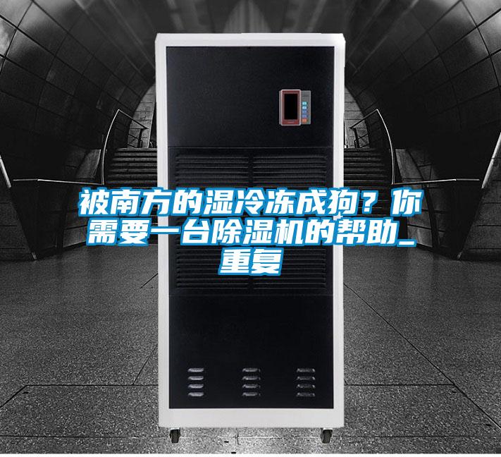 被南方的濕冷凍成狗？你需要一臺除濕機的幫助_重復