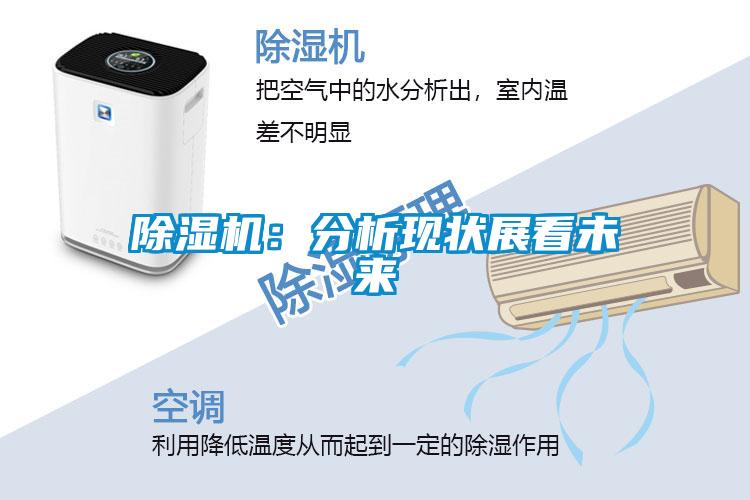 除濕機:分析現(xiàn)狀展看未來