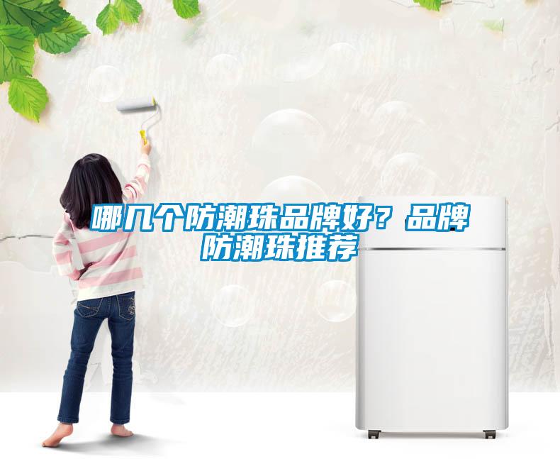 哪幾個防潮珠品牌好？品牌防潮珠推薦