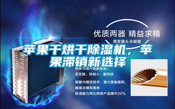 蘋果干烘干除濕機(jī)，蘋果滯銷新選擇