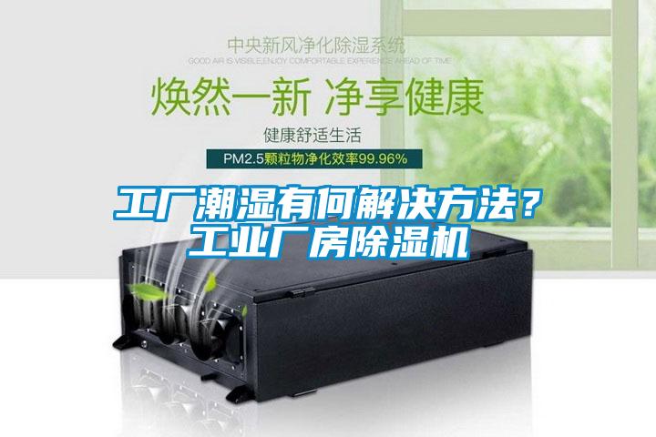 工廠潮濕有何解決方法?工業(yè)廠房除濕機(jī)
