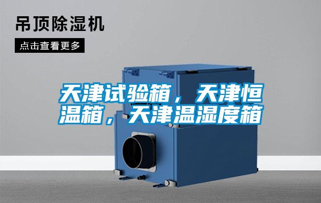 天津試驗箱,天津恒溫箱,天津溫濕度箱