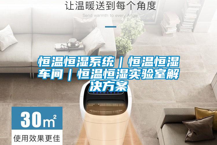 恒溫恒濕系統(tǒng)|恒溫恒濕車間|恒溫恒濕實驗室解決方案