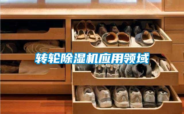 轉(zhuǎn)輪除濕機應(yīng)用領(lǐng)域