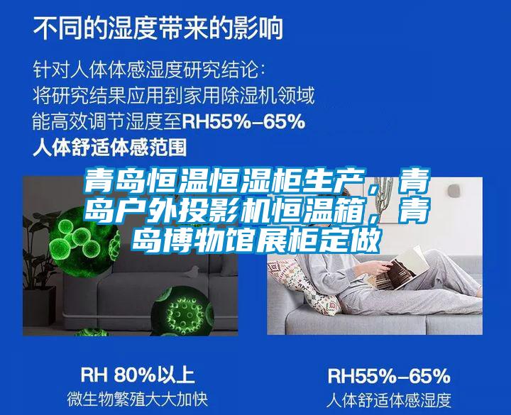 青島恒溫恒濕柜生產(chǎn),青島戶外投影機(jī)恒溫箱,青島博物館展柜定做