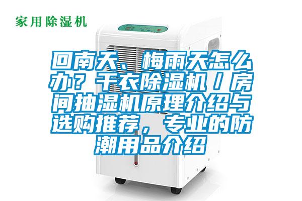 回南天、梅雨天怎么辦?干衣除濕機/房間抽濕機原理介紹與選購推薦,專業的防潮用品介紹