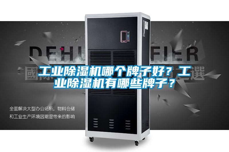 工業(yè)除濕機(jī)哪個牌子好？工業(yè)除濕機(jī)有哪些牌子？