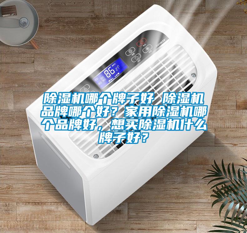 除濕機哪個牌子好 除濕機品牌哪個好?家用除濕機哪個品牌好,想買除濕機什么牌子好?