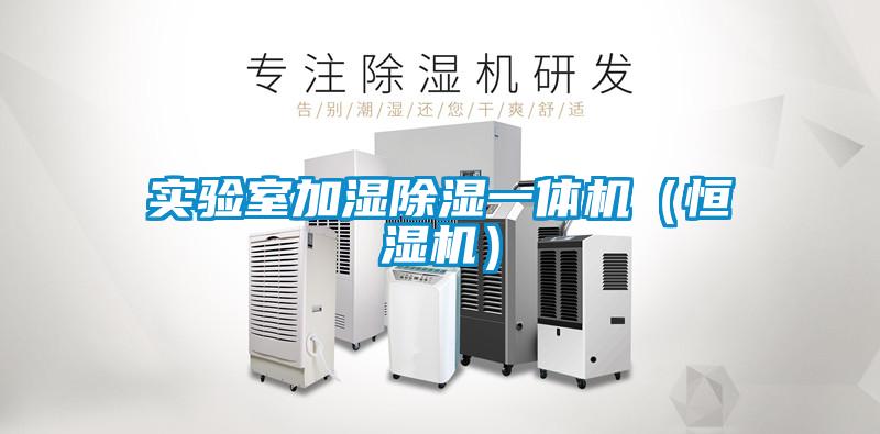 實(shí)驗(yàn)室加濕除濕一體機(jī)(恒濕機(jī))