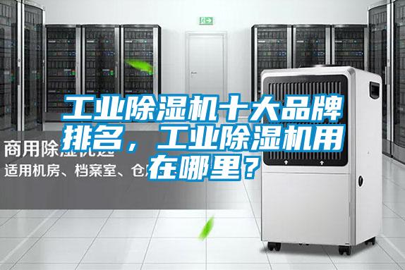 工業(yè)除濕機十大品牌排名，工業(yè)除濕機用在哪里？