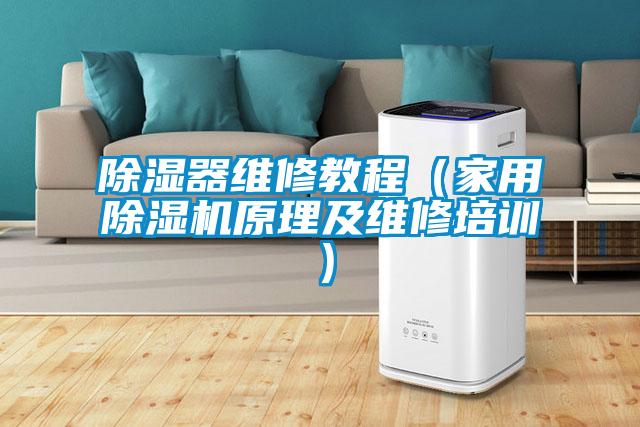 除濕器維修教程(家用除濕機原理及維修培訓)