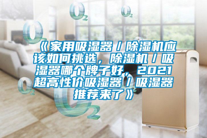 《家用吸濕器／除濕機(jī)應(yīng)該如何挑選，除濕機(jī)／吸濕器哪個(gè)牌子好，2021超高性價(jià)吸濕器／吸濕器推薦來(lái)了》