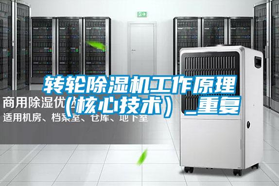 轉(zhuǎn)輪除濕機工作原理(核心技術(shù))_重復(fù)