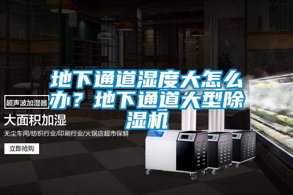 地下通道濕度大怎么辦?地下通道大型除濕機