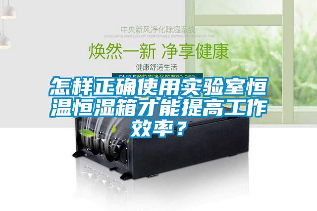 怎樣正確使用實驗室恒溫恒濕箱才能提高工作效率?