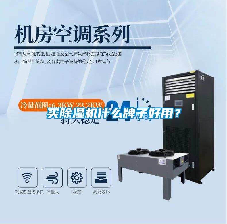 買除濕機(jī)什么牌子好用?