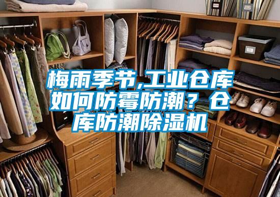 梅雨季節(jié),工業(yè)倉(cāng)庫(kù)如何防霉防潮?倉(cāng)庫(kù)防潮除濕機(jī)