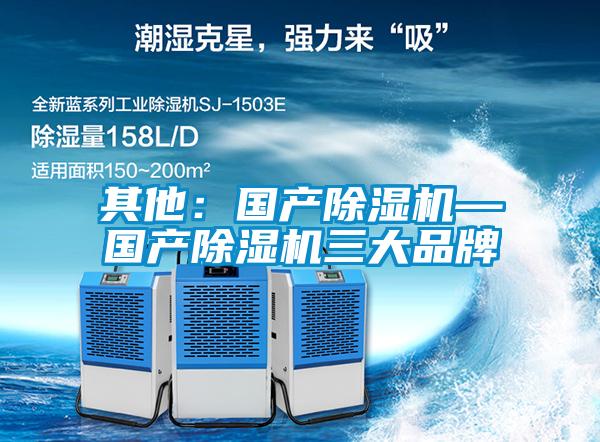 其他:國(guó)產(chǎn)除濕機(jī)—國(guó)產(chǎn)除濕機(jī)三大品牌