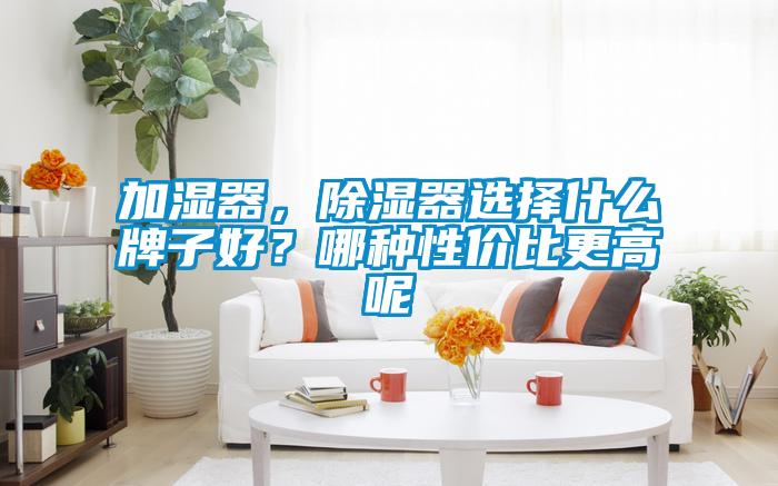 加濕器，除濕器選擇什么牌子好？哪種性價(jià)比更高呢