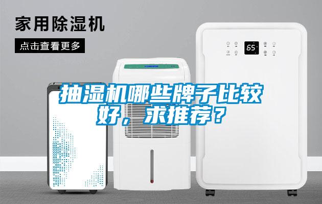抽濕機哪些牌子比較好，求推薦？