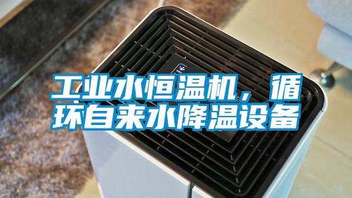工業水恒溫機,循環自來水降溫設備