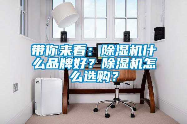 帶你來看:除濕機什么品牌好?除濕機怎么選購?
