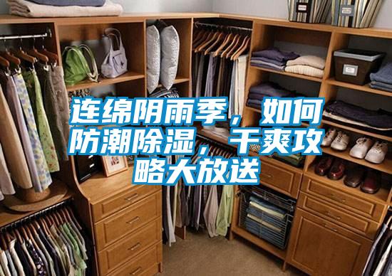 連綿陰雨季,如何防潮除濕,干爽攻略大放送