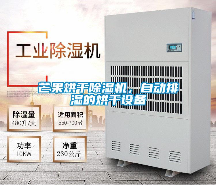 芒果烘干除濕機,自動排濕的烘干設備