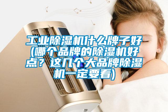 工業除濕機什么牌子好(哪個品牌的除濕機好點?這幾個大品牌除濕機一定要看)