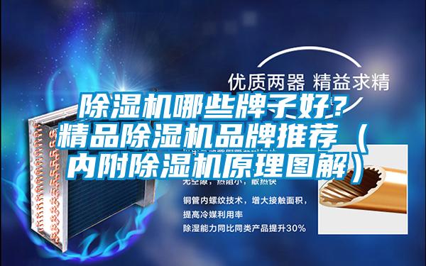 除濕機(jī)哪些牌子好？精品除濕機(jī)品牌推薦（內(nèi)附除濕機(jī)原理圖解）