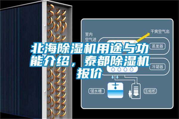 北海除濕機(jī)用途與功能介紹，泰都除濕機(jī)報(bào)價(jià)