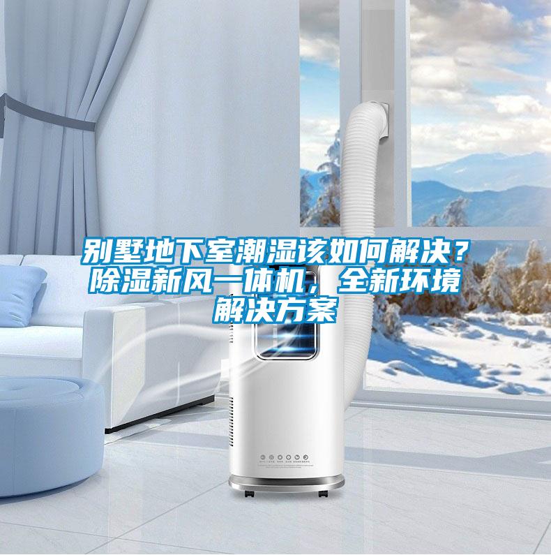 別墅地下室潮濕該如何解決？除濕新風(fēng)一體機(jī)，全新環(huán)境解決方案