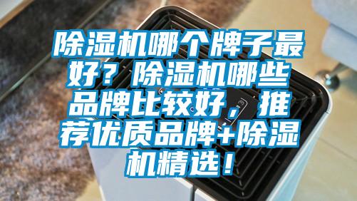 除濕機哪個牌子最好？除濕機哪些品牌比較好，推薦優質品牌+除濕機精選！