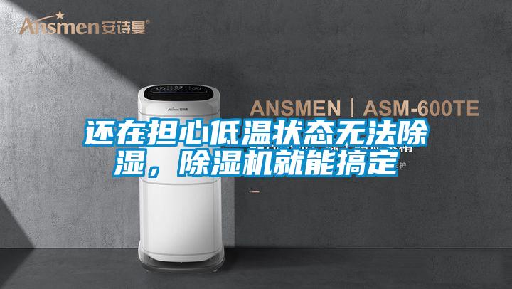 還在擔心低溫狀態無法除濕，除濕機就能搞定